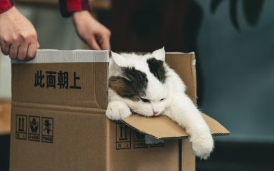 Nuova casa: Come preparare la cameretta dei bambini